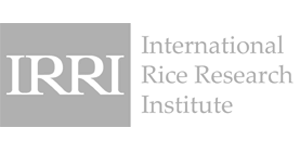 International rice research institute logo